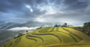 hoang su phi ha giang